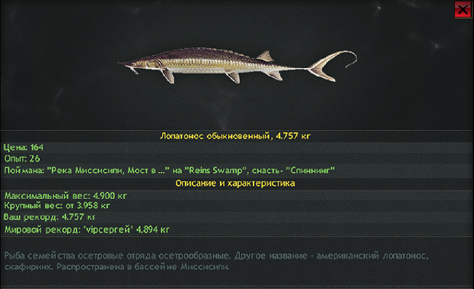 Сквозь джунгли